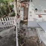 3 Casa vacanze *